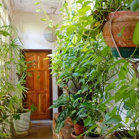 アクラHechtech Houseアパートメント エクステリア 写真